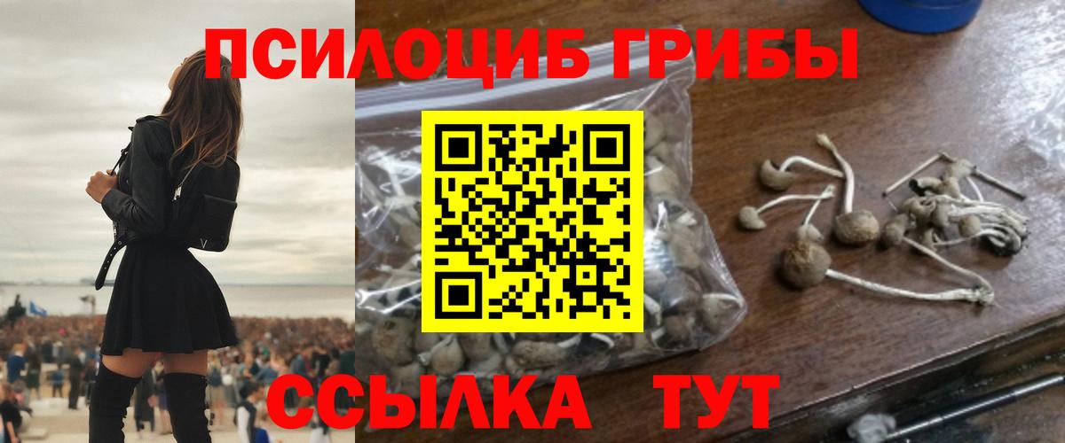 Вольск  Галлюциногенные грибы мицелий  как найти наркотики  Вход с VPN 